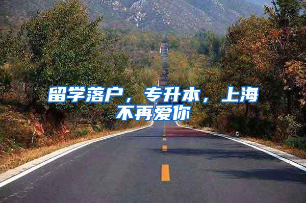 留学落户，专升本，上海不再爱你