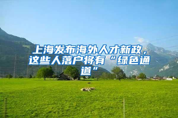 上海发布海外人才新政，这些人落户将有“绿色通道”