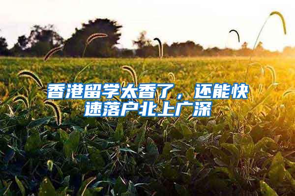 香港留学太香了，还能快速落户北上广深