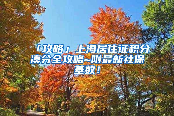 「攻略」上海居住证积分凑分全攻略~附最新社保基数！