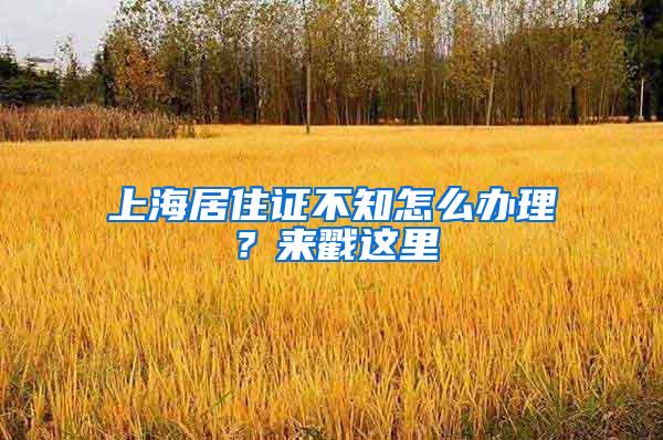 上海居住证不知怎么办理？来戳这里