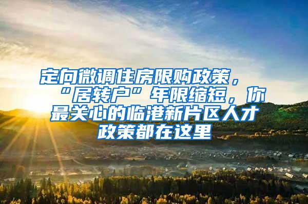 定向微调住房限购政策，“居转户”年限缩短，你最关心的临港新片区人才政策都在这里