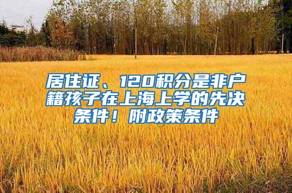 居住证、120积分是非户籍孩子在上海上学的先决条件！附政策条件