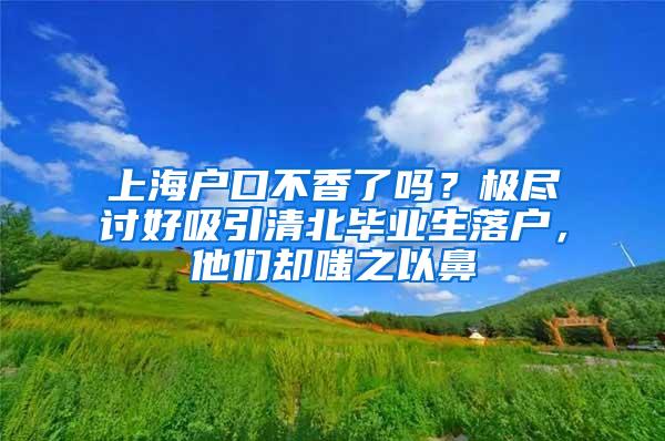 上海户口不香了吗？极尽讨好吸引清北毕业生落户，他们却嗤之以鼻