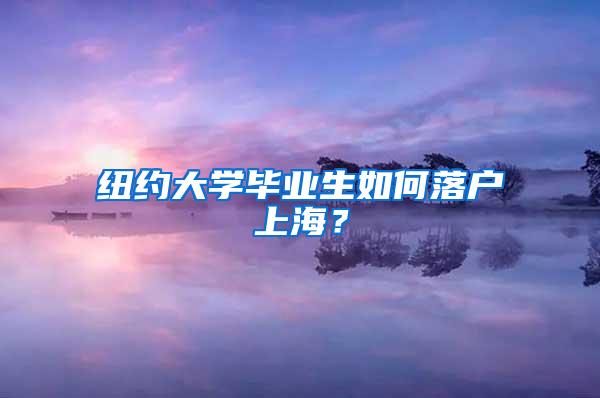 纽约大学毕业生如何落户上海？