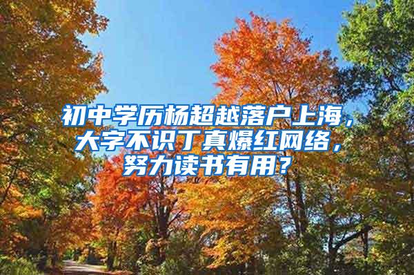 初中学历杨超越落户上海，大字不识丁真爆红网络，努力读书有用？