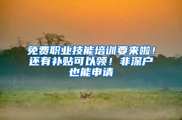 免费职业技能培训要来啦！还有补贴可以领！非深户也能申请