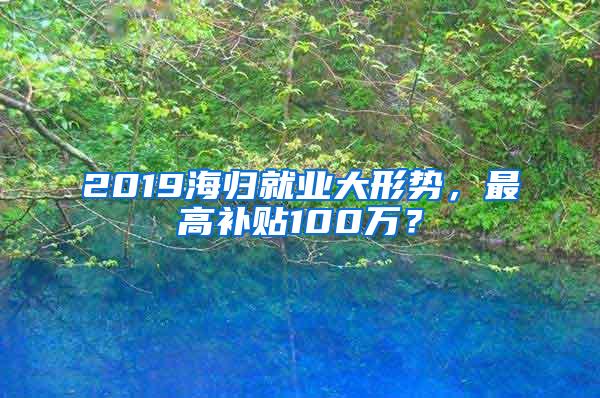2019海归就业大形势，最高补贴100万？