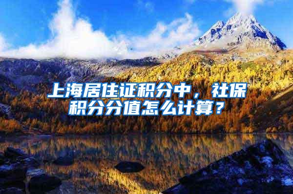 上海居住证积分中，社保积分分值怎么计算？