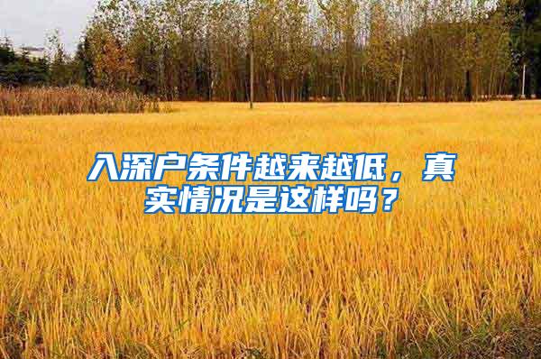 入深户条件越来越低，真实情况是这样吗？