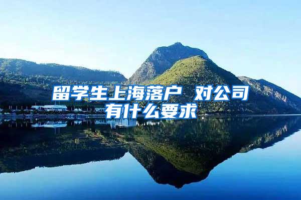 留学生上海落户 对公司有什么要求