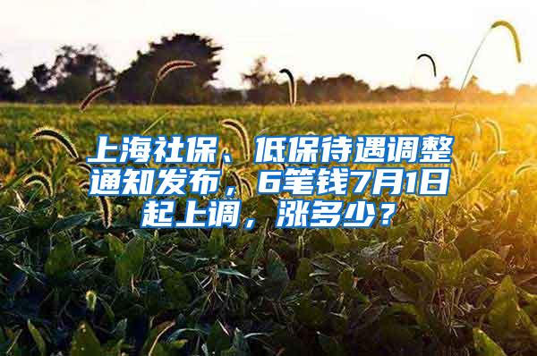 上海社保、低保待遇调整通知发布，6笔钱7月1日起上调，涨多少？