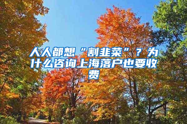 人人都想“割韭菜”？为什么咨询上海落户也要收费
