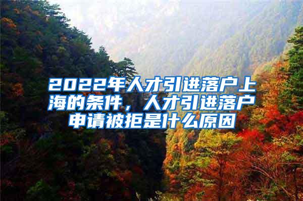 2022年人才引进落户上海的条件,人才引进落户申请被拒是什么原因