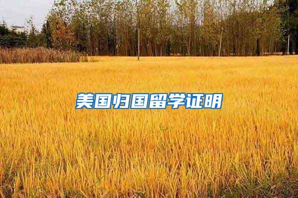 美国归国留学证明