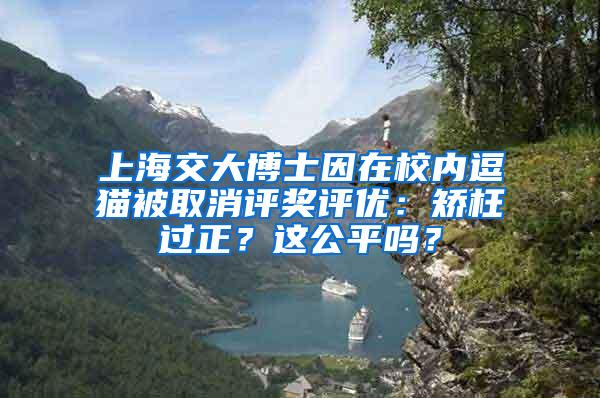 上海交大博士因在校内逗猫被取消评奖评优:矫枉过正?这公平吗?