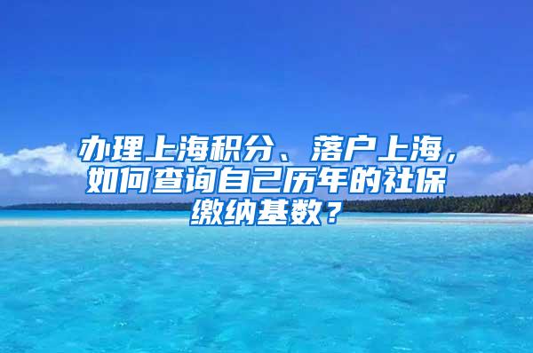 办理上海积分、落户上海，如何查询自己历年的社保缴纳基数？
