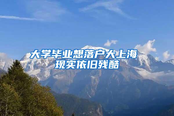 大学毕业想落户大上海 现实依旧残酷
