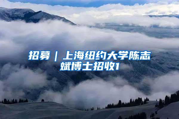 招募｜上海纽约大学陈志斌博士招收1
