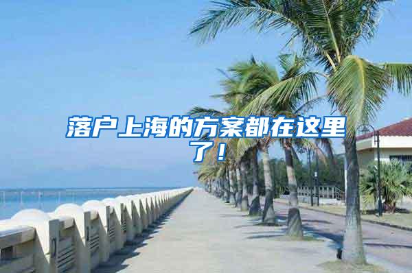 落户上海的方案都在这里了！