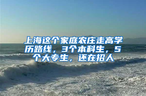 上海这个家庭农庄走高学历路线，3个本科生，5个大专生，还在招人