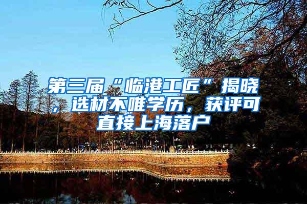 第三届“临港工匠”揭晓，选材不唯学历，获评可直接上海落户