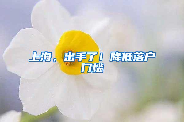 上海，出手了！降低落户门槛