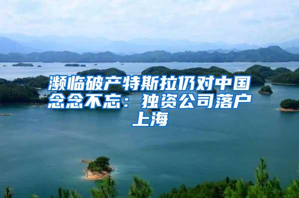 濒临破产特斯拉仍对中国念念不忘：独资公司落户上海