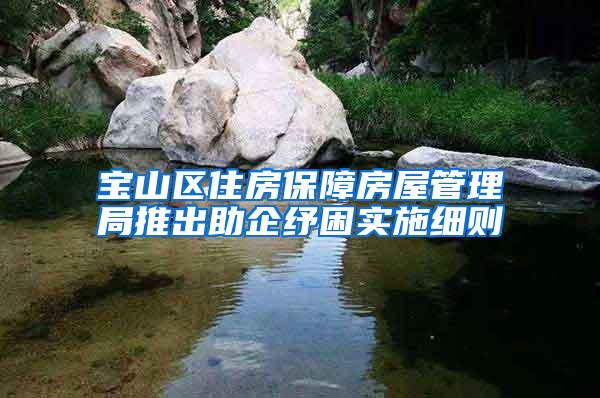 宝山区住房保障房屋管理局推出助企纾困实施细则
