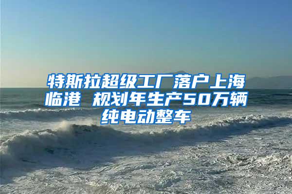特斯拉超级工厂落户上海临港 规划年生产50万辆纯电动整车