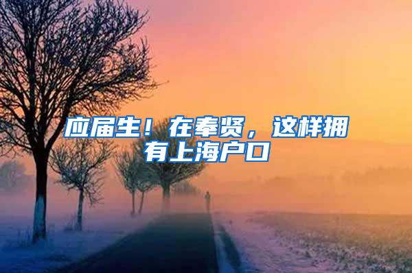 应届生！在奉贤，这样拥有上海户口