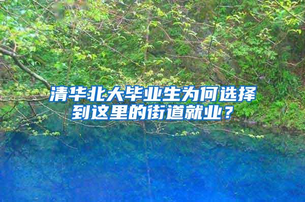 清华北大毕业生为何选择到这里的街道就业？