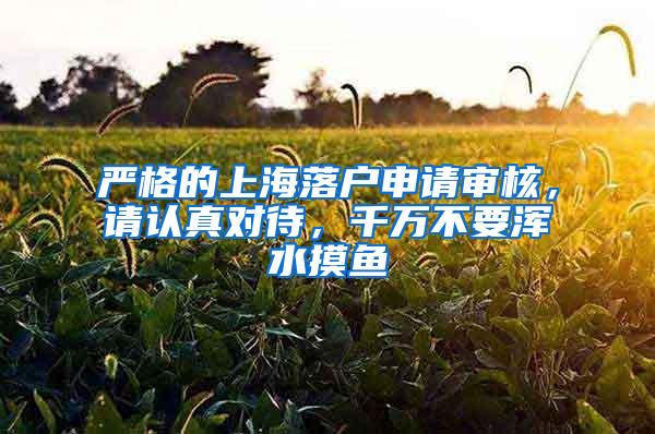 严格的上海落户申请审核，请认真对待，千万不要浑水摸鱼
