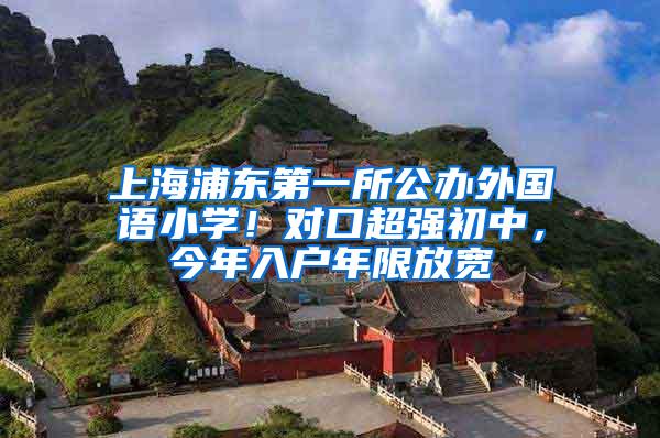 上海浦东第一所公办外国语小学！对口超强初中，今年入户年限放宽
