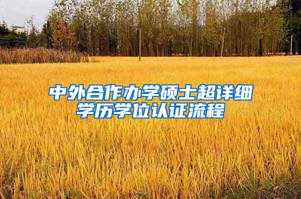 中外合作办学硕士超详细学历学位认证流程