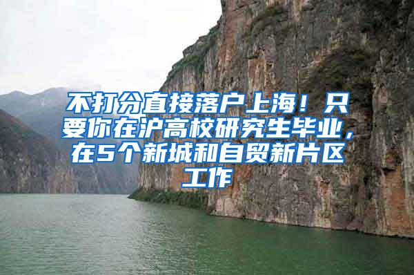 不打分直接落户上海！只要你在沪高校研究生毕业，在5个新城和自贸新片区工作