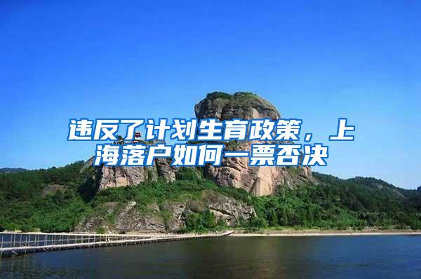 违反了计划生育政策，上海落户如何一票否决
