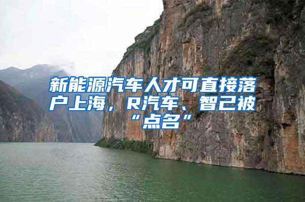 新能源汽车人才可直接落户上海，R汽车、智己被“点名”
