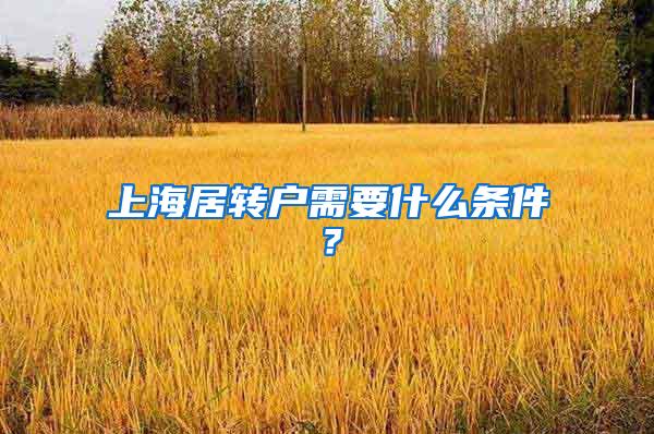 上海居转户需要什么条件？