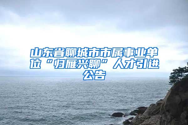 山东省聊城市市属事业单位“归雁兴聊”人才引进公告