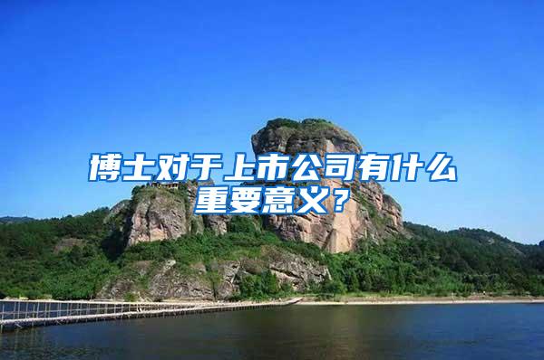 博士对于上市公司有什么重要意义？
