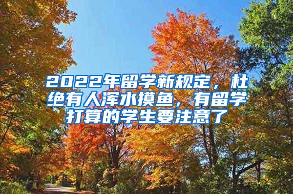 2022年留学新规定，杜绝有人浑水摸鱼，有留学打算的学生要注意了