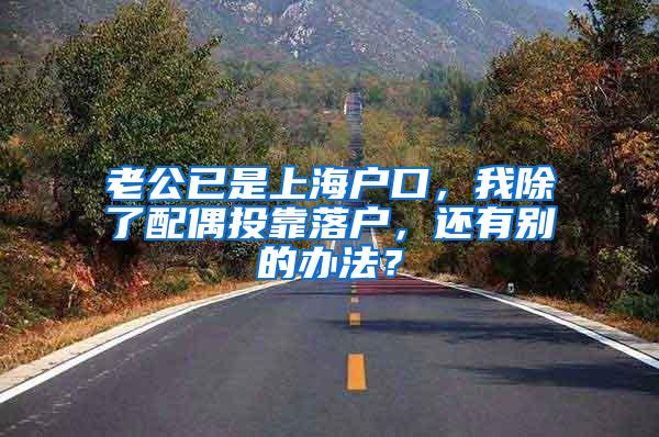 老公已是上海户口，我除了配偶投靠落户，还有别的办法？