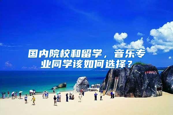 国内院校和留学，音乐专业同学该如何选择？