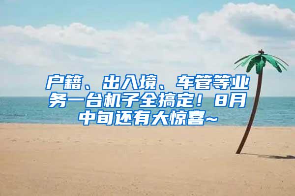 户籍、出入境、车管等业务一台机子全搞定！8月中旬还有大惊喜~
