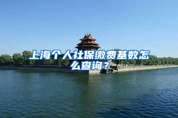 上海个人社保缴费基数怎么查询？
