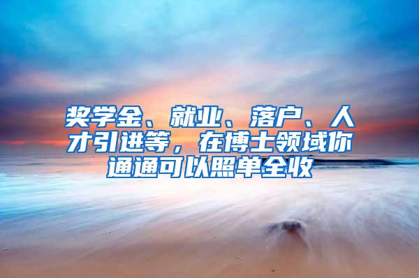 奖学金、就业、落户、人才引进等，在博士领域你通通可以照单全收