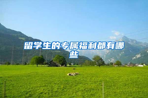 留学生的专属福利都有哪些