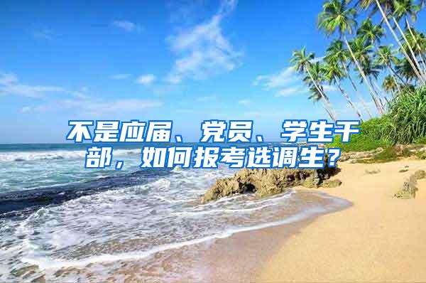 不是应届、党员、学生干部，如何报考选调生？