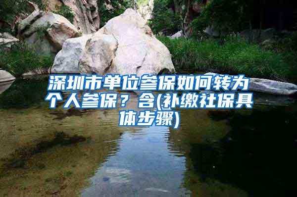 深圳市单位参保如何转为个人参保?含(补缴社保具体步骤)